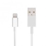 Lightning to USB Cable (1m)
