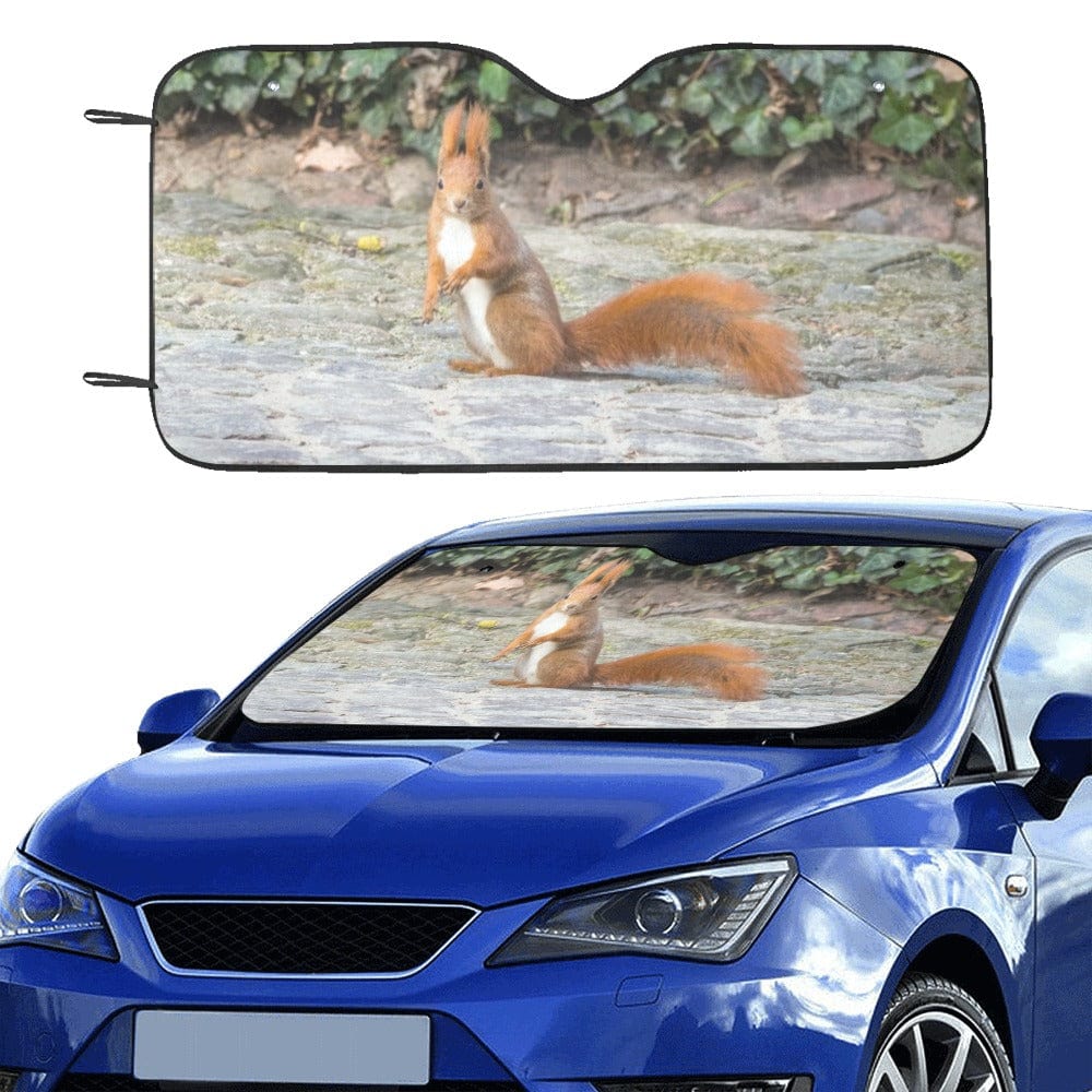 Squirrely Car Windshield Su...