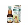Himalaya Immunol Supplement For Dogs &amp; Cats, 100 ml (Pack of 2)