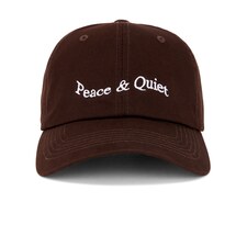 Image 1 of Museum of Peace and Quiet Wordmark Dad Hat in Clay