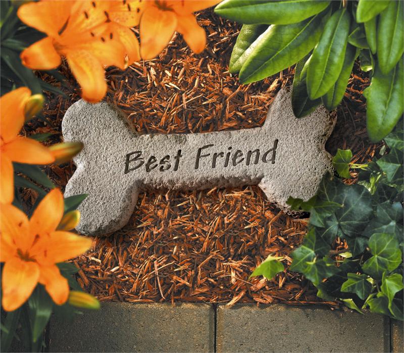 Pet Memorial-Best Friend Bo...