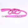 Pretty in pink dog leash