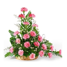 Arng of Carnations