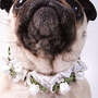 Embellished White Ribbon Do...