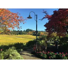 Willamette valley wine tours