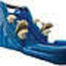 Dolphin Dive bounce house for underwater fun