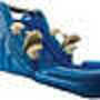 Dolphin Dive bounce house for underwater fun