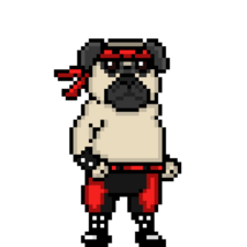 Kung Fu Pug - ThetaDrop