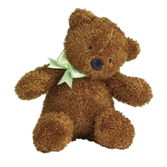 North American teddy bear