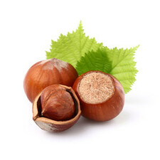 Hazelnut Pour-N-Serve Liquid Gelato