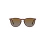 Ray-Ban Erika Classic 54mm Sunglasses, Main, color, Transparent Brown