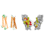 NMR Services