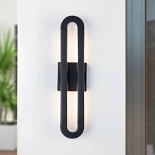 20" Iron Led Wall Light