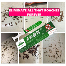 Cockroach Pest Control Product for Effective Extermination