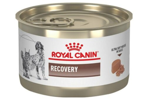 Royal Canin Recovery Wet Do...