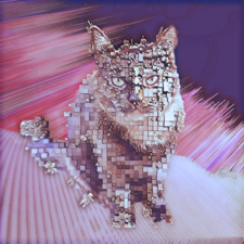 CryPTO KITTY - NFT Showroom