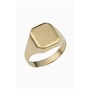 Oradina 10K Gold Duke Signet Bold Ring, Main, color, Yellow Gold