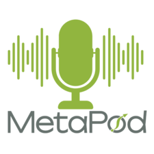 MetaPod transparent