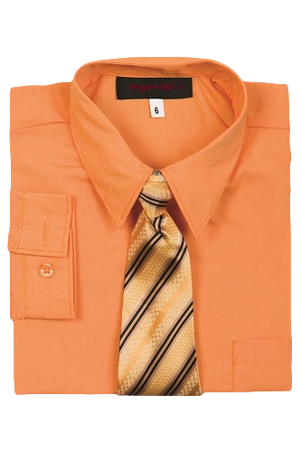 Boys Dress Shirt and Tie