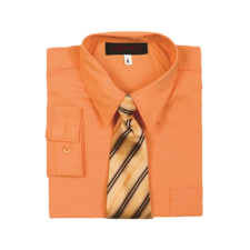 Boys Dress Shirt and Tie
