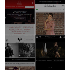 Best Website Designing Company In Delhi, India