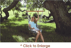 Texsport Daydreamer Hammock...