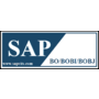 SAP BO/BOBI/BOBJ