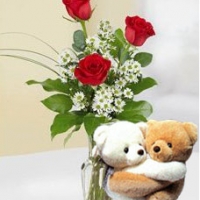 Beautiful Red Rose with Ted...