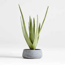 View Faux Potted Agave - image 1 of 6