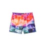 Psycho Bunny Randolph Print Swim Trunks, Main, color, Multi