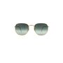 Ray-Ban Hexagonal Sunglasse...