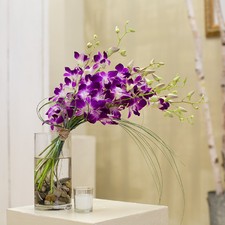 Creative Ways To Display Orchids
