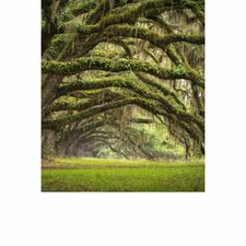 Clear Acrylic Outdoor Sign For Backlit Displays And Graphics