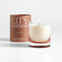 View City Gardens Brown Chicago Scented Candle - Leather &amp; Clove - image 1 of 1