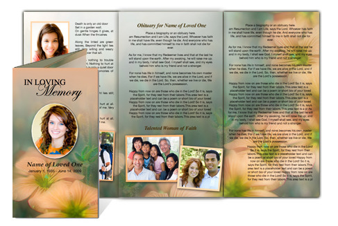 AO Floral Tri Fold Brochure...