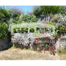 Environmental Barriers