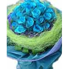12 Blue Holland Roses Bouquet  - Best Price