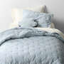 View Floral Organic Cotton Line Art Sky Blue and Pampas Ivory Twin XL Comforter - image 1 of 8