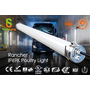 Rancher IP69K Triproof Light