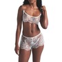 Ultrafine Lace Scoop Bralette &amp; Shorts Set