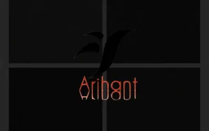 indian black granites