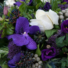 Purple Vanda - Luxury Flowers Delivery 