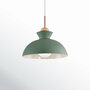  Single Light Dimmable Pendant