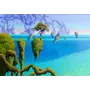 Green Parrot Island  #176/777