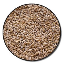 Briess Ashburne Mild Malt Whole Grain 50 lb