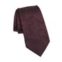 ZEGNA TIES Leaf Silk Jacqua...
