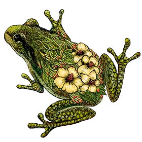 30 Fabulous Frog Tattoo Ideas for Men  Women in 2023