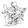 Octopus Tattoo | Tattapic