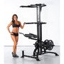 POWERTEC LEVERGYM CHIN / DIP ASSIST