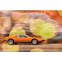 q974 De Tomaso Pantera - Th...